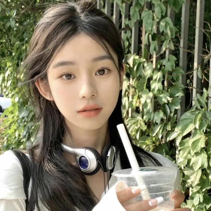 山茶花飘零